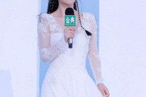 谢娜巡演被骂：非专业歌手边界感在哪？网友吵翻了