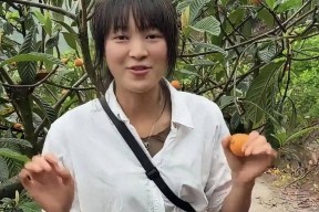 呆呆直播卖枇杷翻车枇杷卖那么贵把自己当成大咖粉丝当韭菜